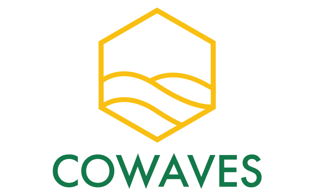 CoWaves