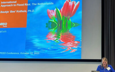 Dutch Approach to flood resilience in Houston